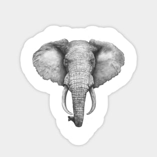 Elephant Sticker